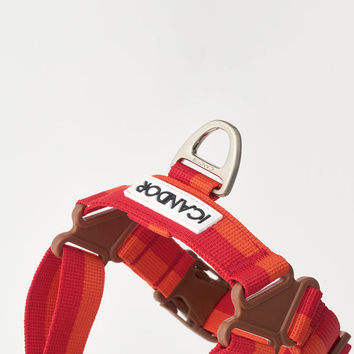 No-Pull Harness_Sunset