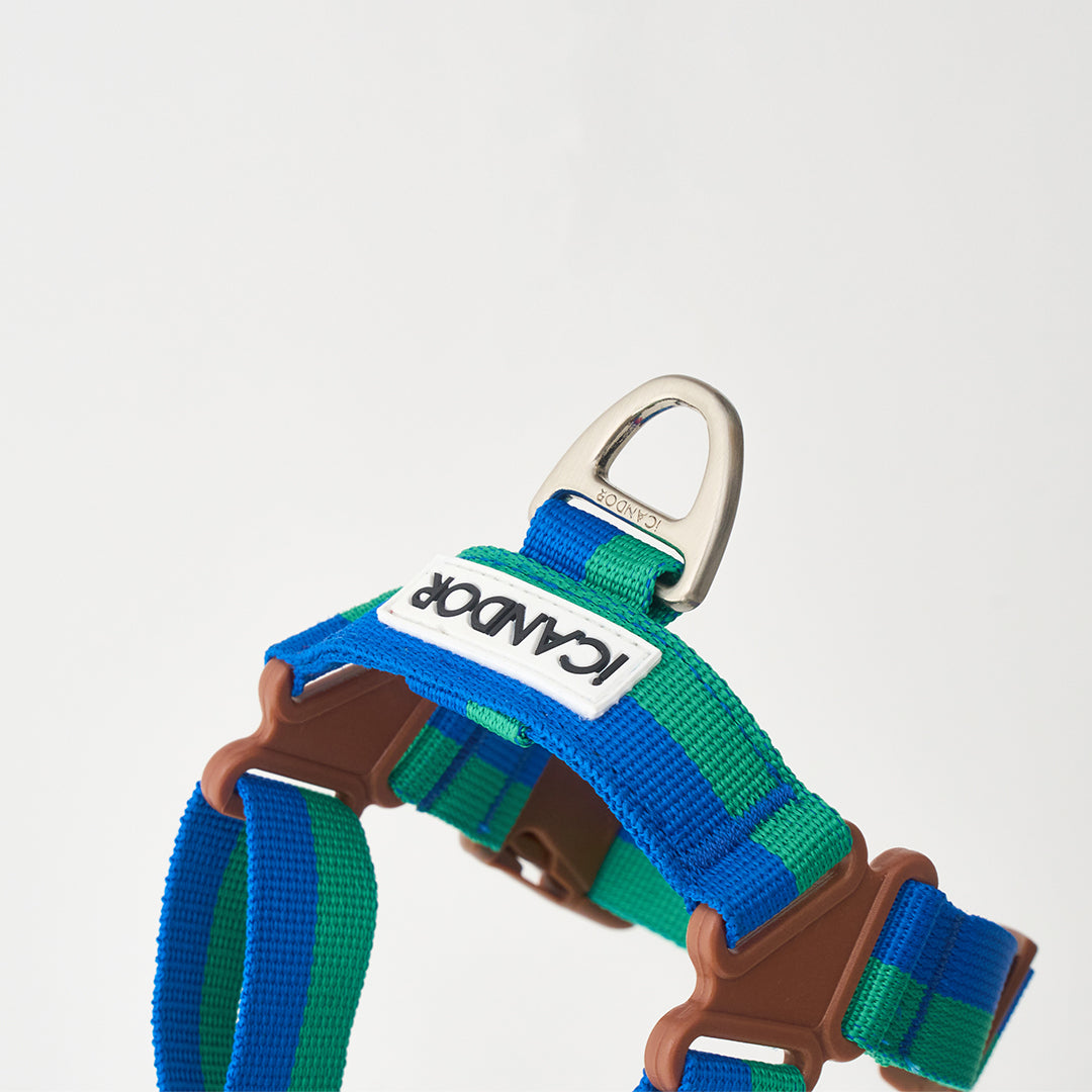 No-Pull Harness_Forest