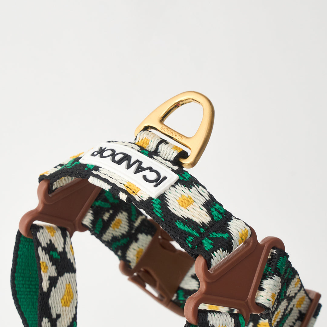 No-Pull Harness_Big Fish