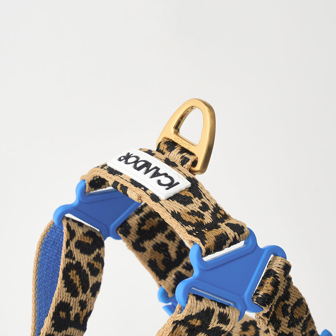 No-Pull Harness_Leopard