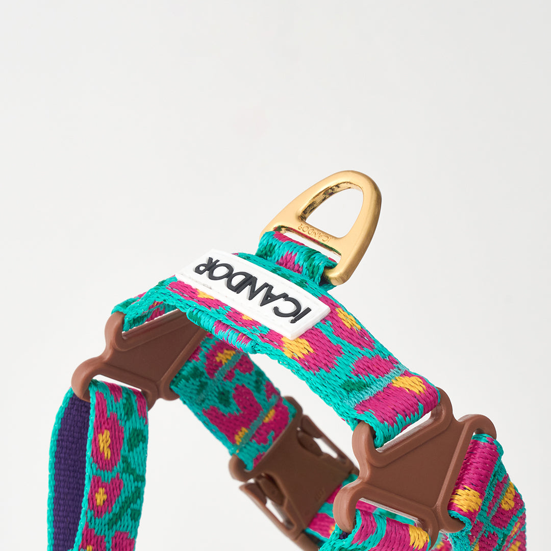 No-Pull Harness_Big Fish Mint