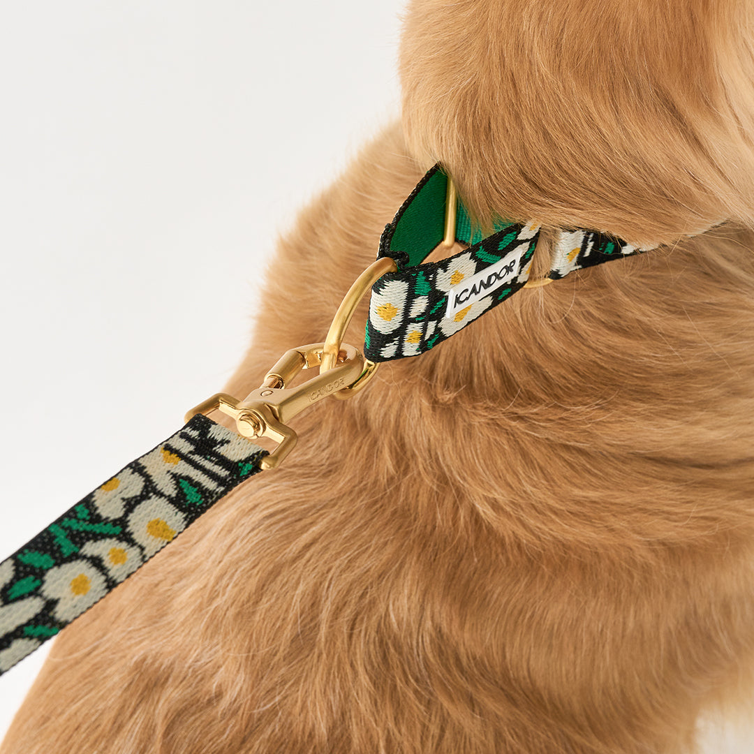 Smooth Martingale Collar 38mm_Big Fish