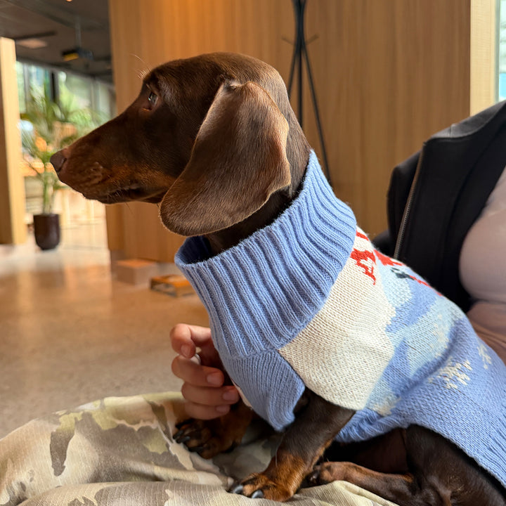 Dog wearing the Aspen Woolies Apres sweater indoors, side view