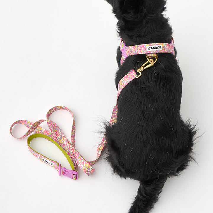 Gentle Leash Bolt_Flora