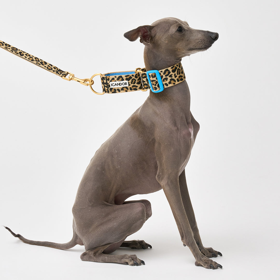 Smooth Martingale Collar 38mm_Leopard