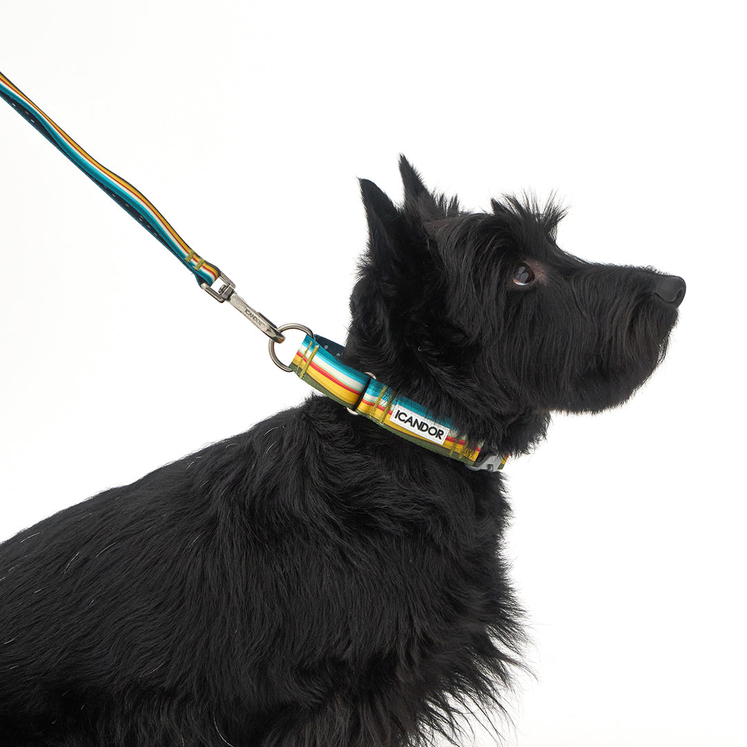 Gentle Leash Bolt_Ripple