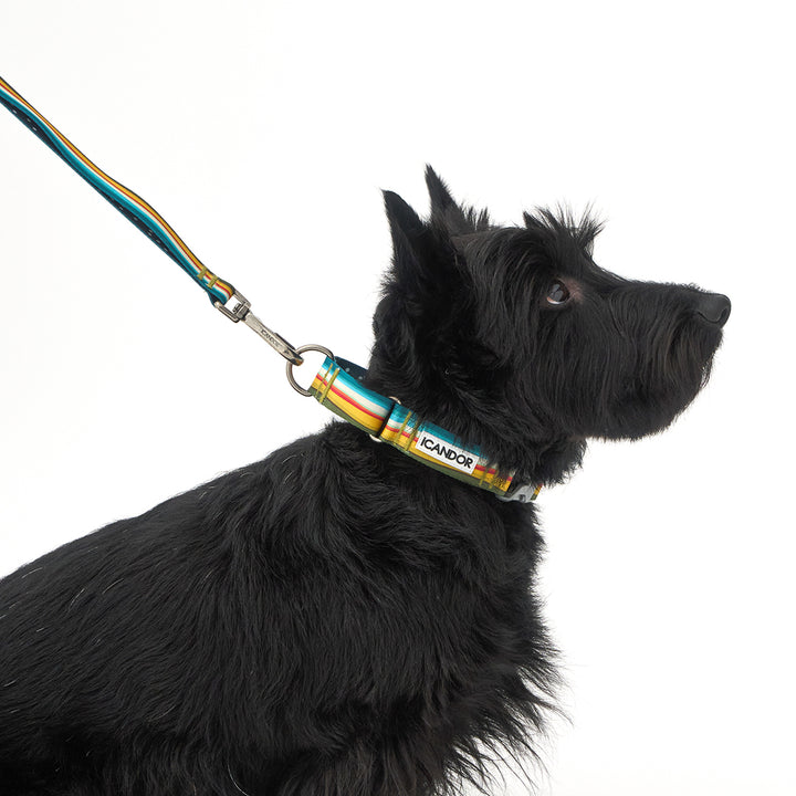 Gentle Leash Bolt_Ripple