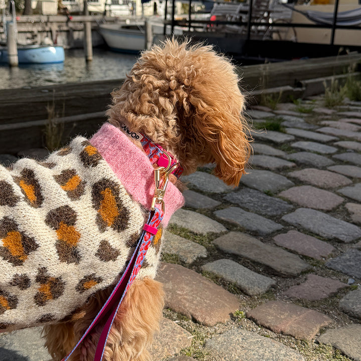 Brown dog wearing the Aspen Woolies Leopard sweater, back view