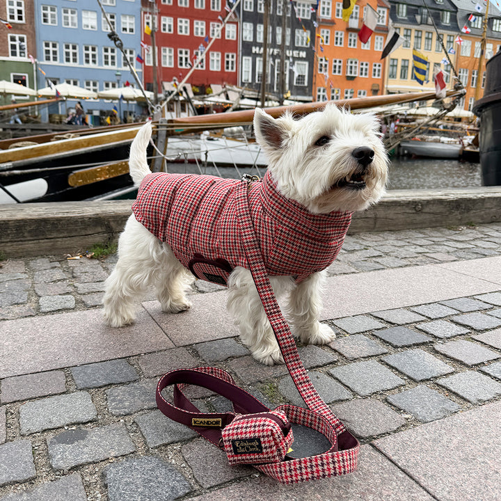 Gentle Leash Bolt_Edinburgh Check Red