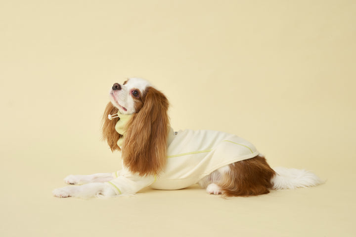 ギャラリー画像