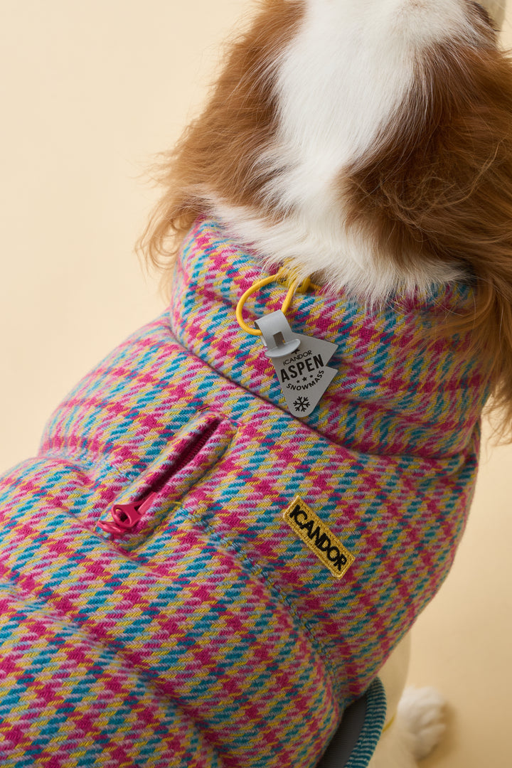 ギャラリー画像