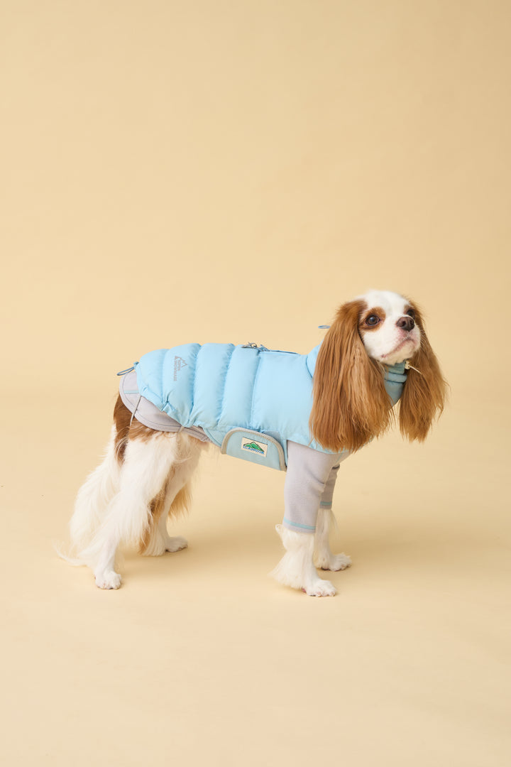 ギャラリー画像