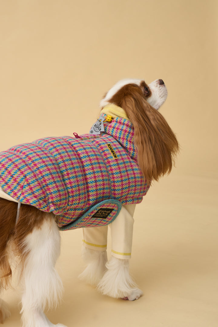 ギャラリー画像