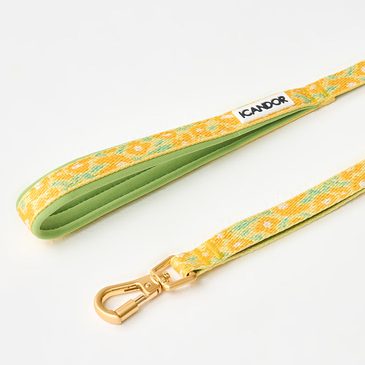 Gentle Leash Bolt, 1.6m(15mm)_Big Fish Yellow