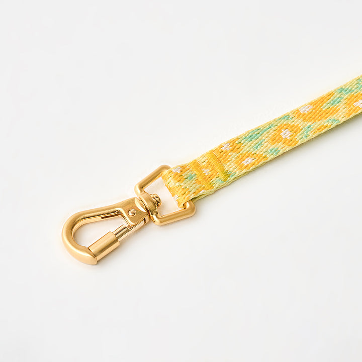 Gentle Leash Bolt, 1.6m(15mm)_Big Fish Yellow
