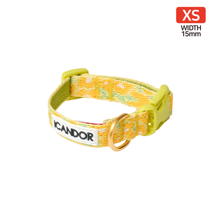 Gentle Collar XS(15mm)_Big Fish Yellow