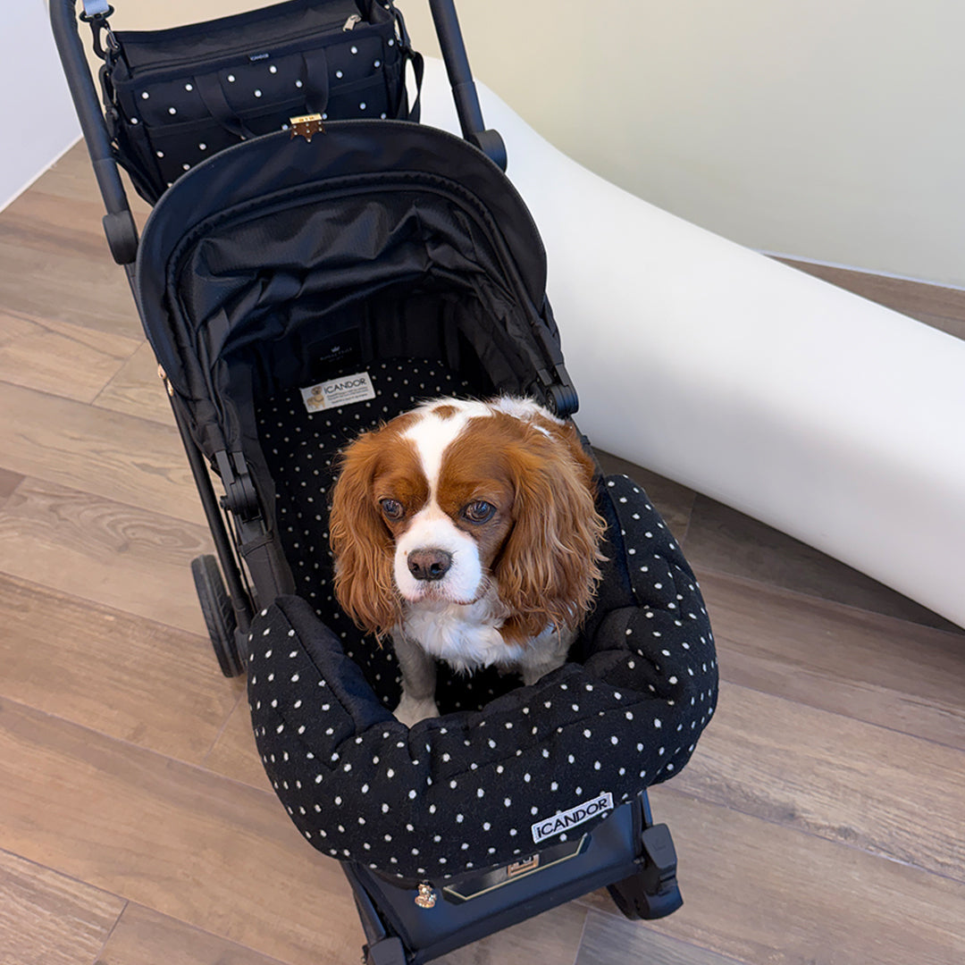 Urban Shield Cushion in Polka Dot: brown and white dog sitting in a stroller fitted with the cushion