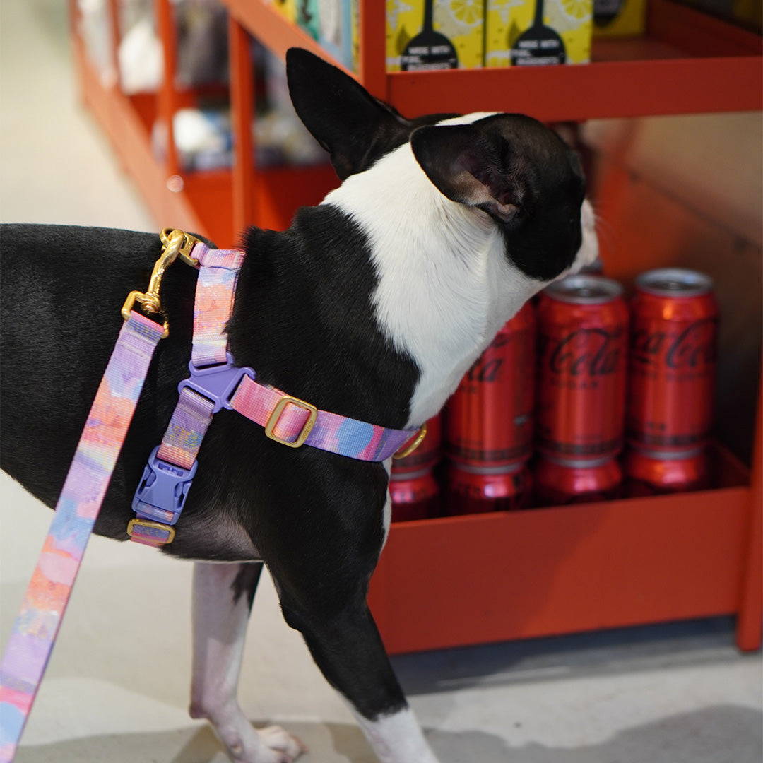 No-Pull Harness_Milky Way