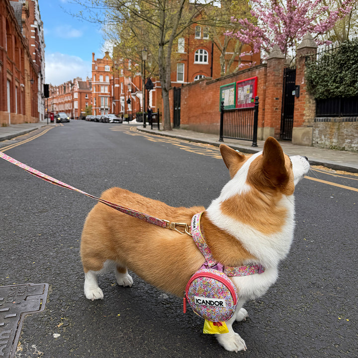Gentle Leash Bolt_Flora