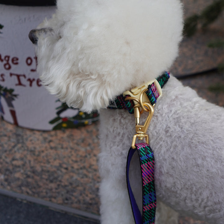 Gentle Leash Bolt, Long_Urban Checks