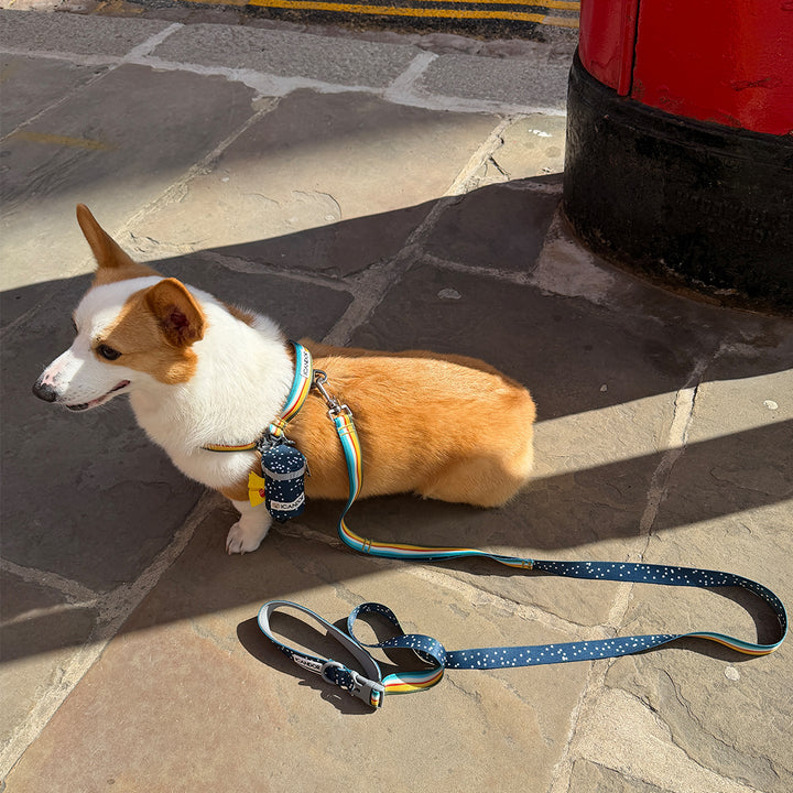 Gentle Leash Bolt_Ripple