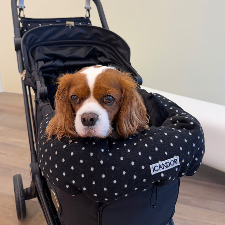 Urban Nest Cushion in Polka Dot: brown and white dog in a stroller with the cushion and matching Urban Shield Cushion
