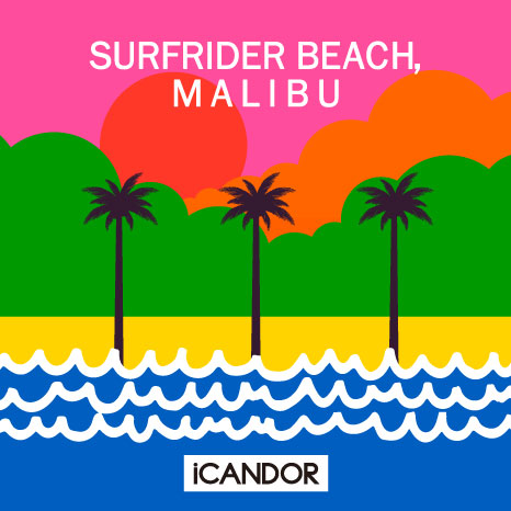 No-Pull Harness_Surfrider