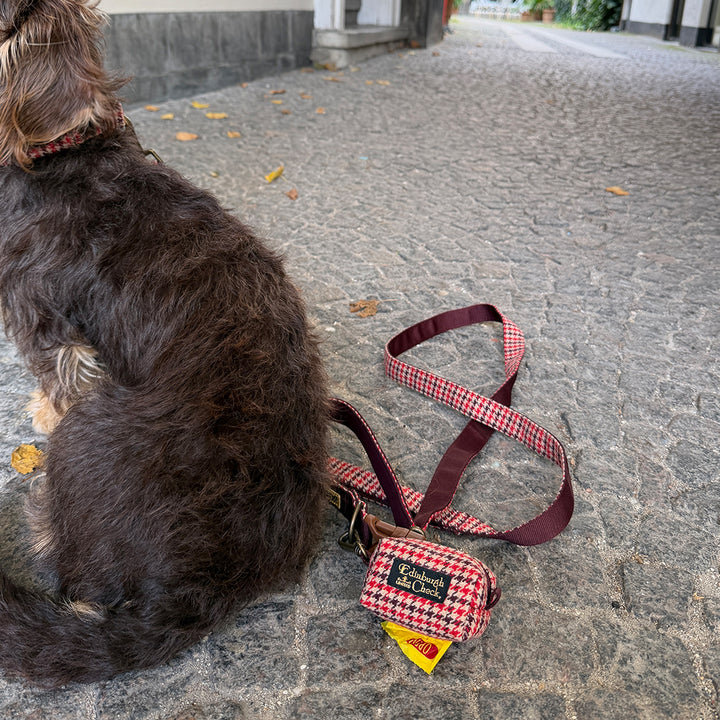 Gentle Leash Bolt_Edinburgh Check Red