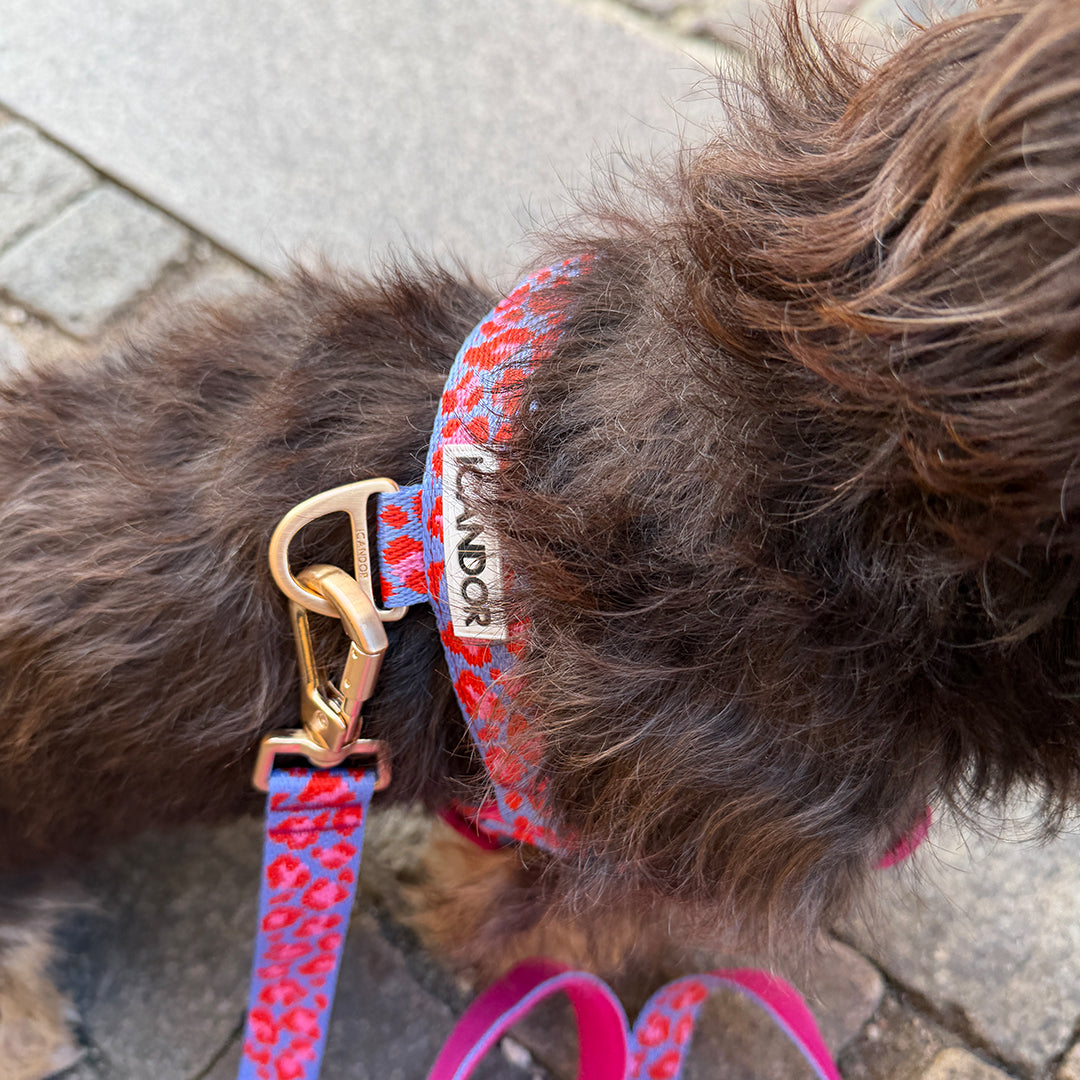 Gentle Leash Bolt_Flora
