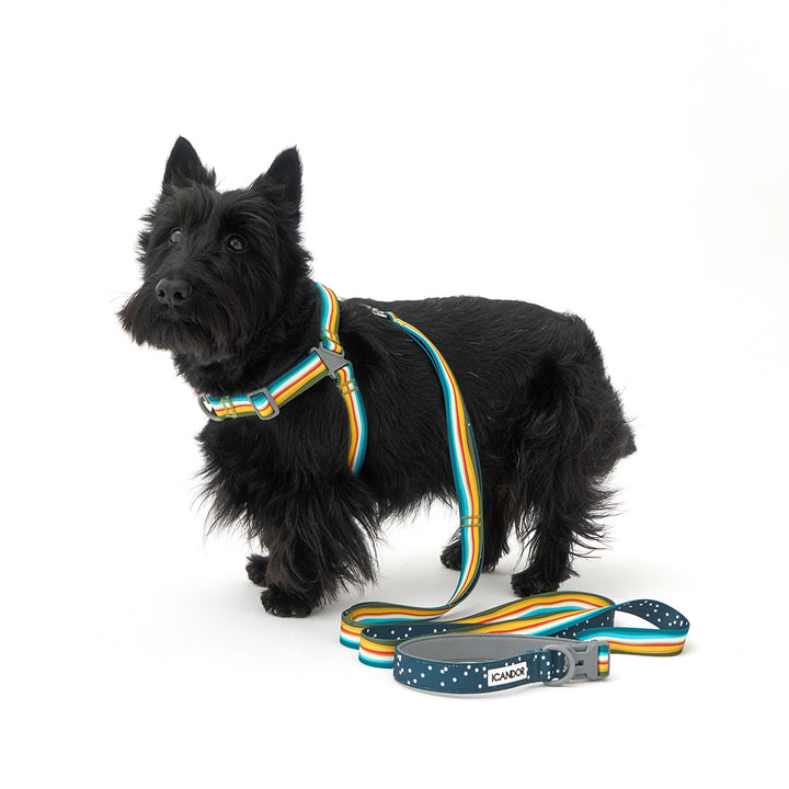 No-Pull Harness_Ripple