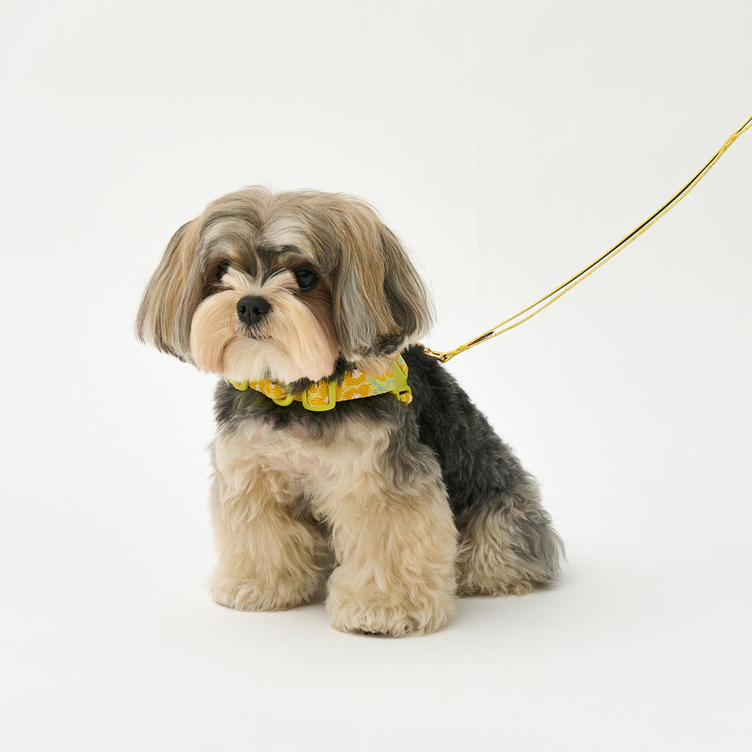 No-Pull Harness_Big Fish Yellow