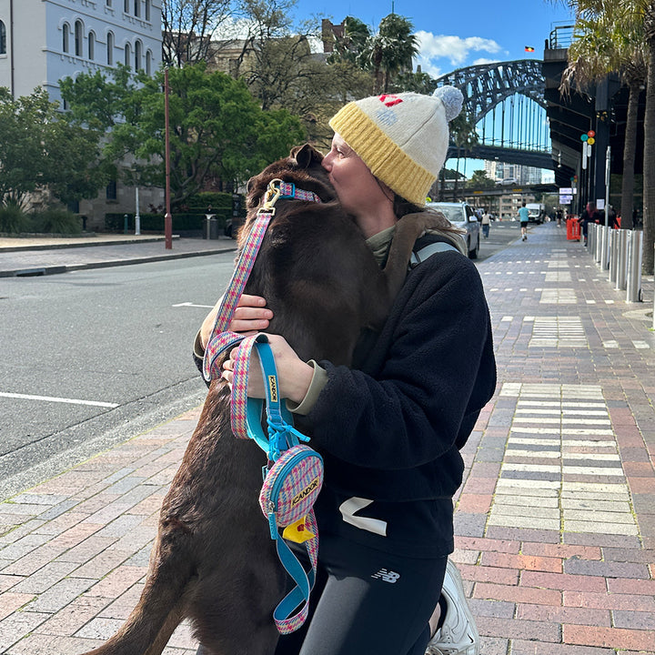 アスペンウーリーズ_ビーニー