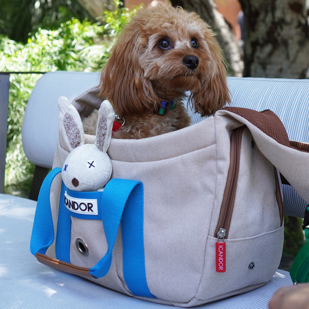 Peek-A-Boo Bag_Melting Cream – iCANDOR