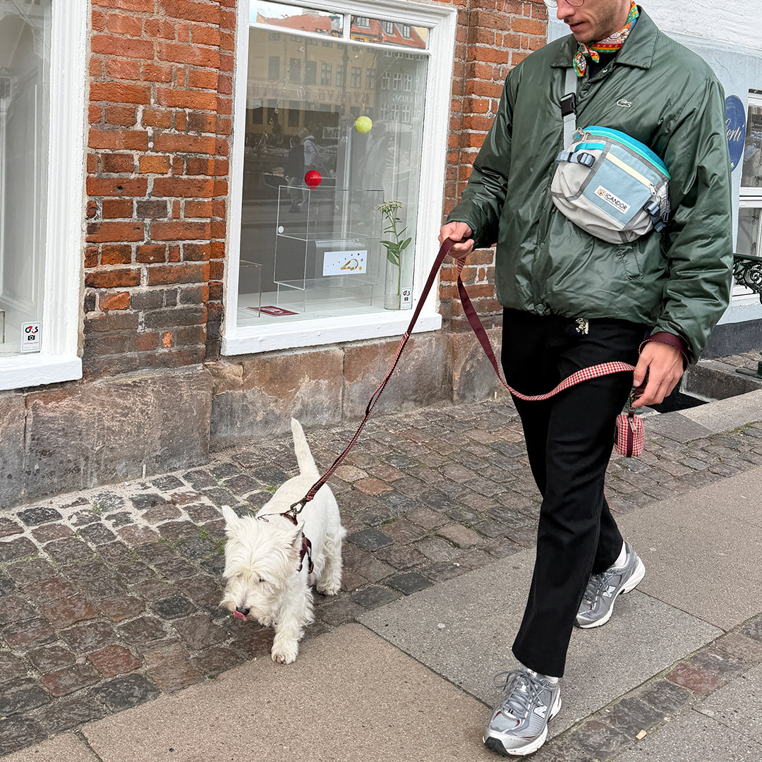 Gentle Leash Bolt_Edinburgh Check Red