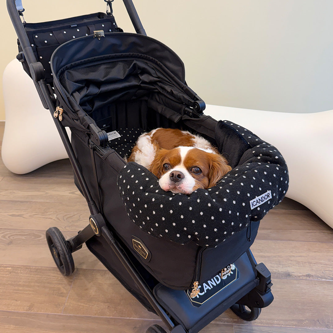 Urban Nest Cushion in Polka Dot: brown and white dog resting in a stroller with the cushion