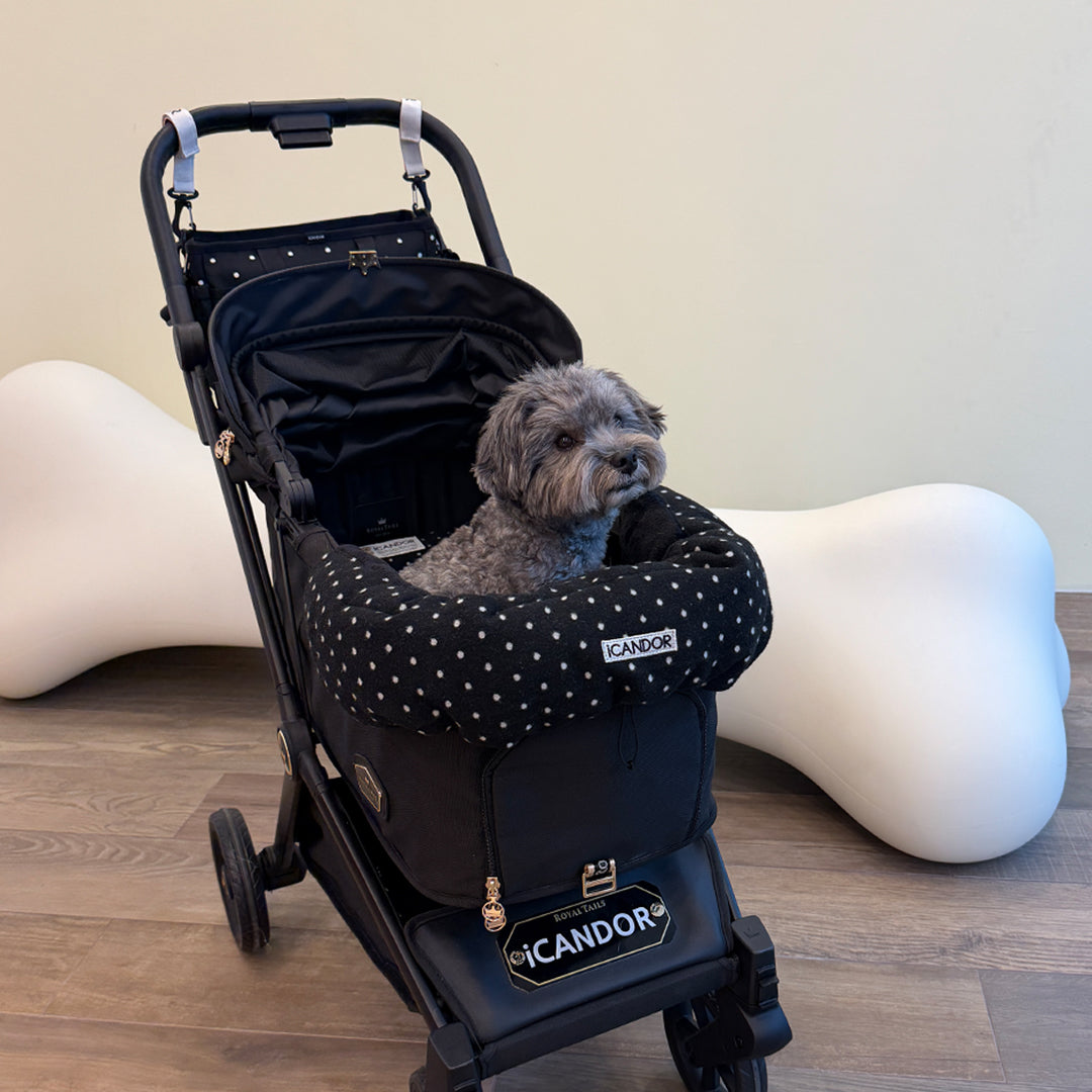 Urban Shield Cushion in Polka Dot: gray dog in a stroller fitted with the cushion