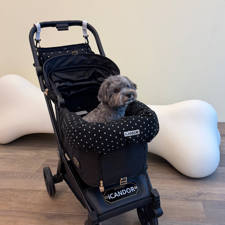 Urban Shield Cushion in Polka Dot: gray dog in a stroller fitted with the cushion