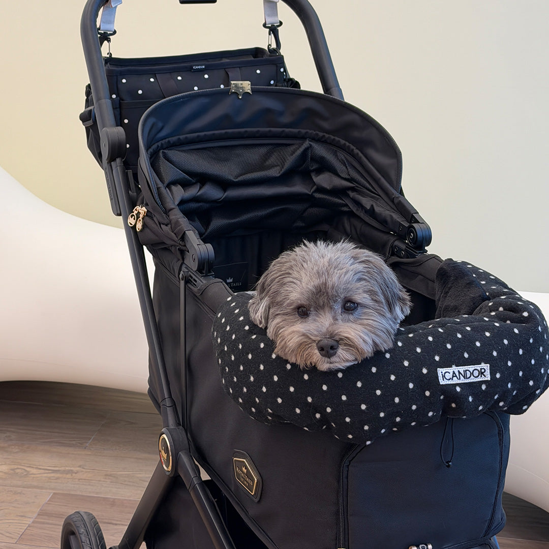 Urban Nest Cushion in Polka Dot: gray dog in a stroller with the cushion and matching Urban Shield Cushion