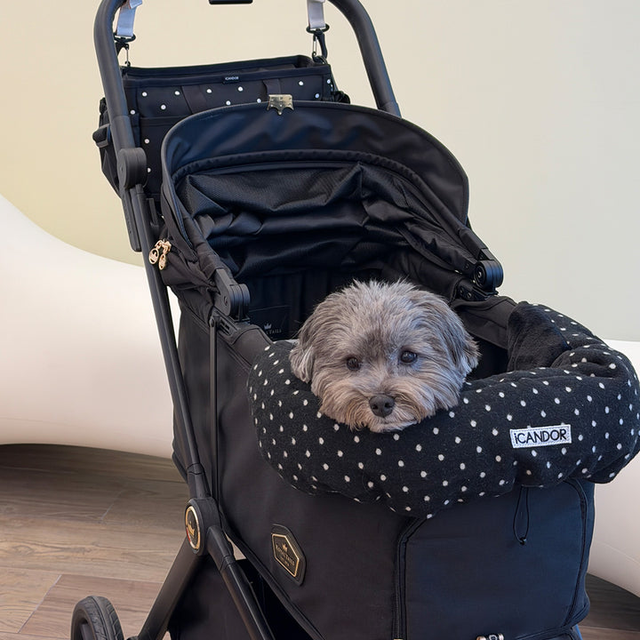 Urban Nest Cushion in Polka Dot: gray dog in a stroller with the cushion and matching Urban Shield Cushion