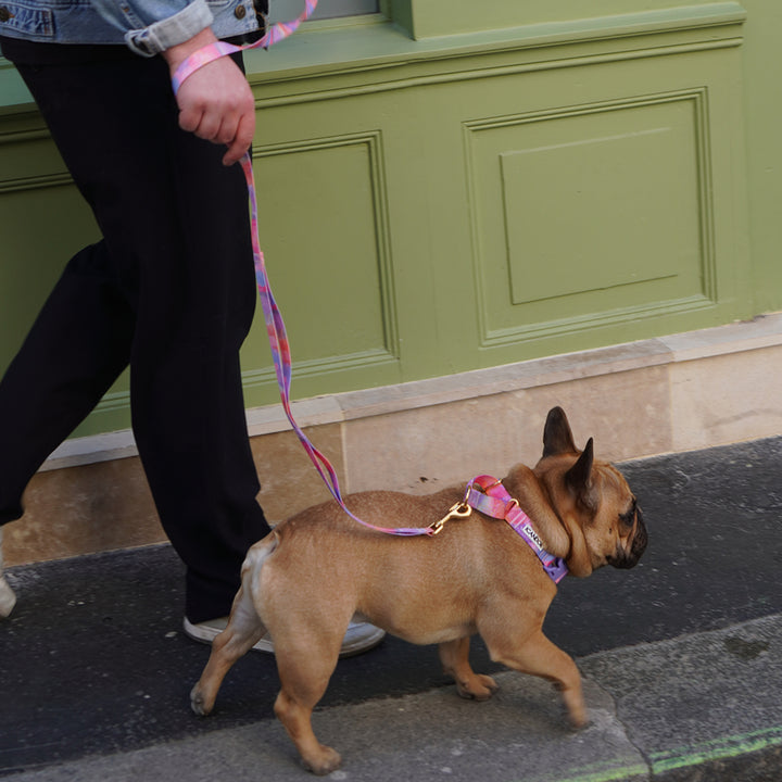 Martingale Collar, Buckle_Milky Way