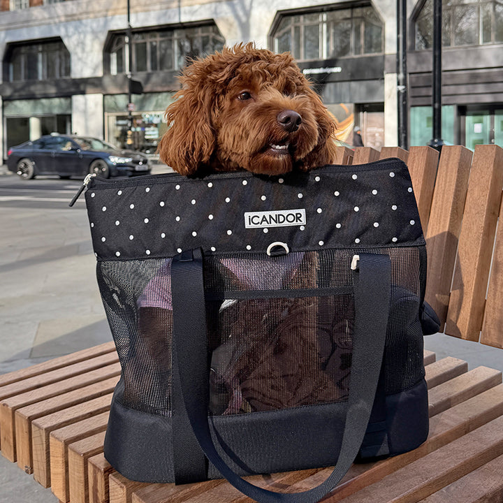 Brisbane Bag_Capri Black