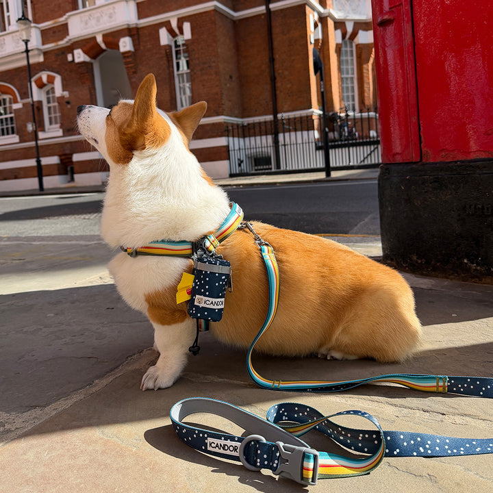 No-Pull Harness_Ripple