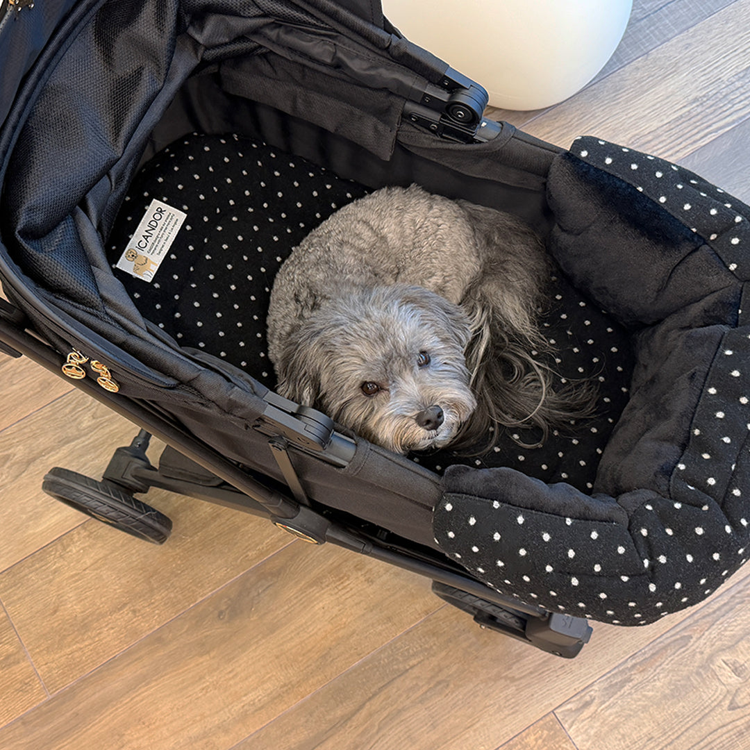 Urban Shield Cushion in Polka Dot: gray dog lying on the matching Urban Nest Cushion in a stroller