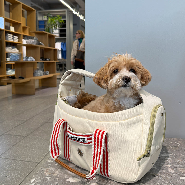 Peek-A-Boo Bag_Capri Edition