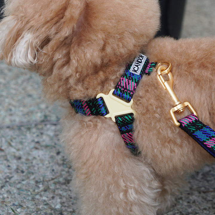 No-Pull Harness_Urban Checks