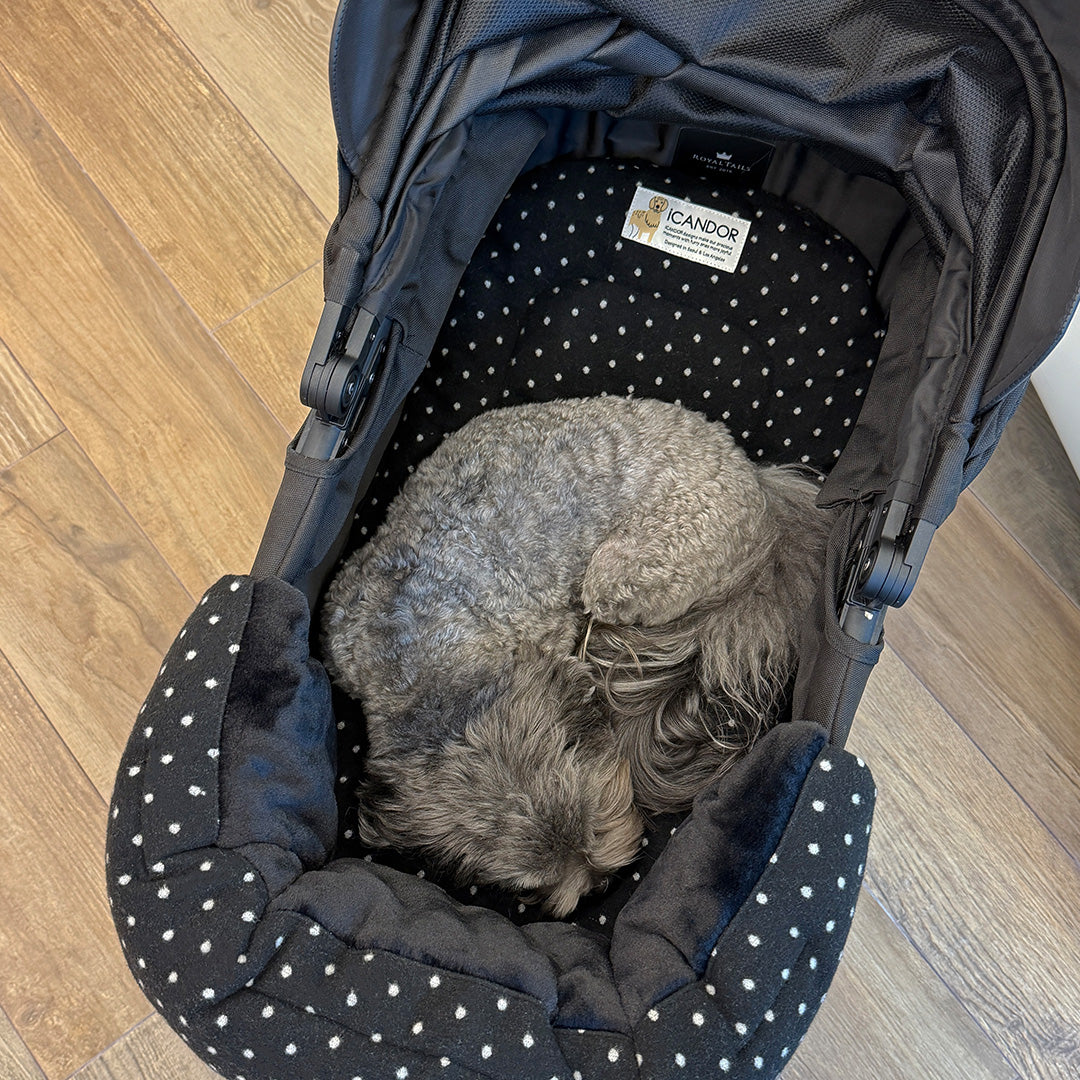 Urban Nest Cushion in Polka Dot: gray dog curled up on the cushion in a stroller