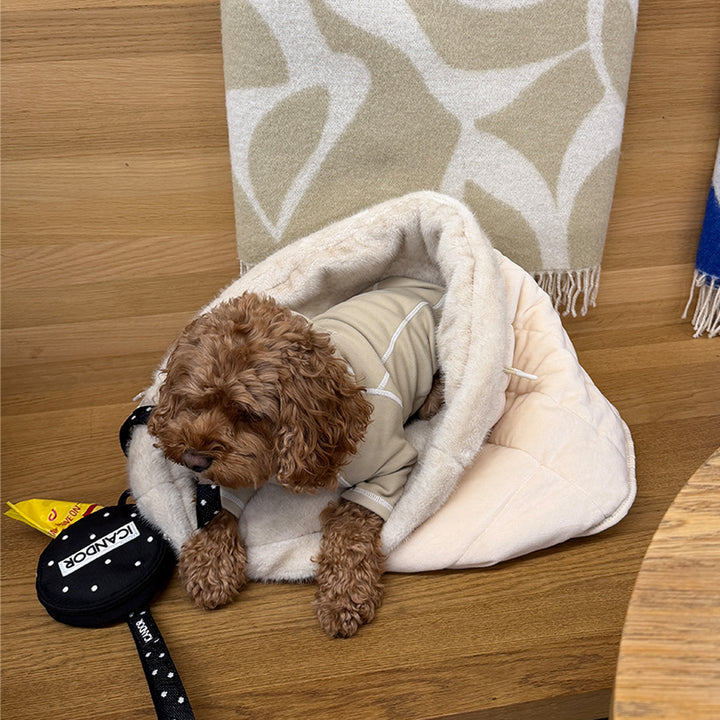 Snuggle Nest: brown curly-coated dog in a sweater lying in the nest, Polka Dot Dingle Dangle Bag beside