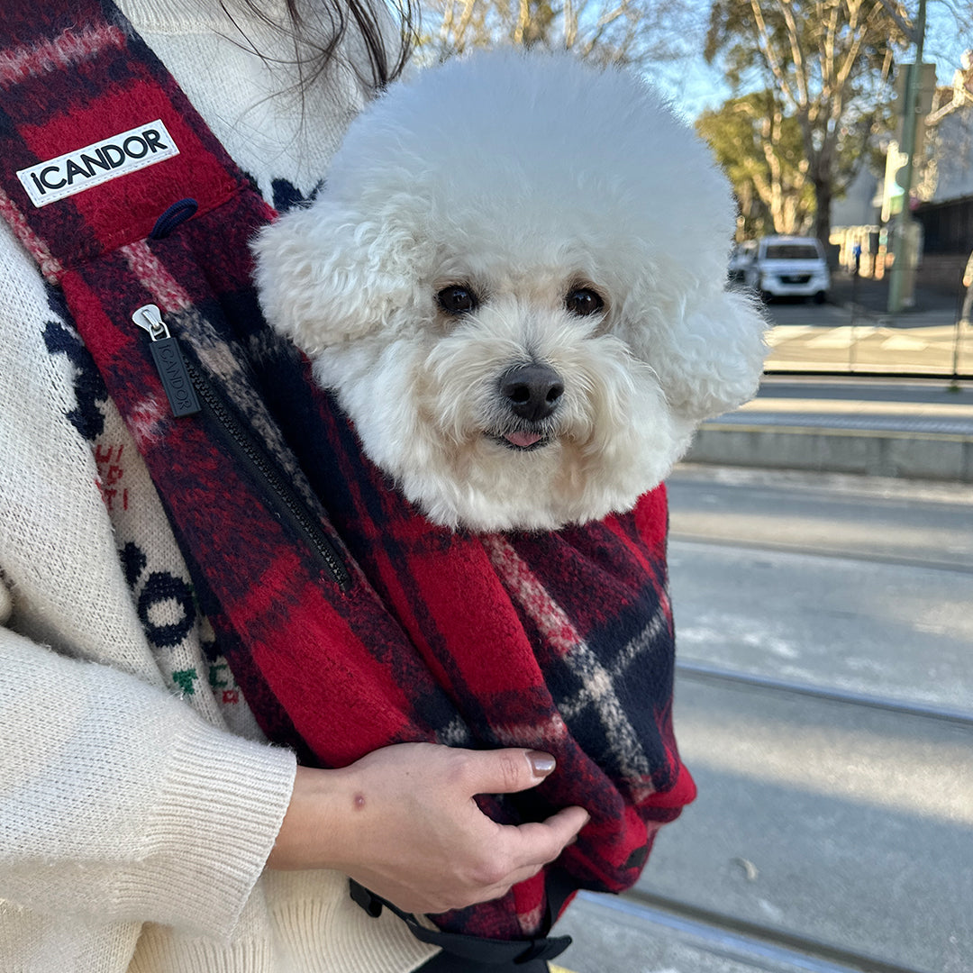 Dumpling Bag_Edinburgh Check