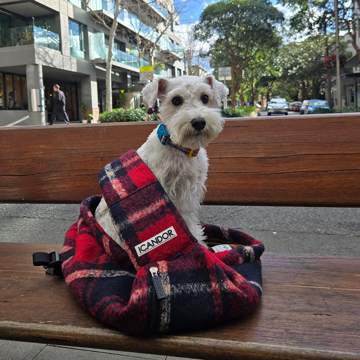 Dumpling Bag_Edinburgh Check