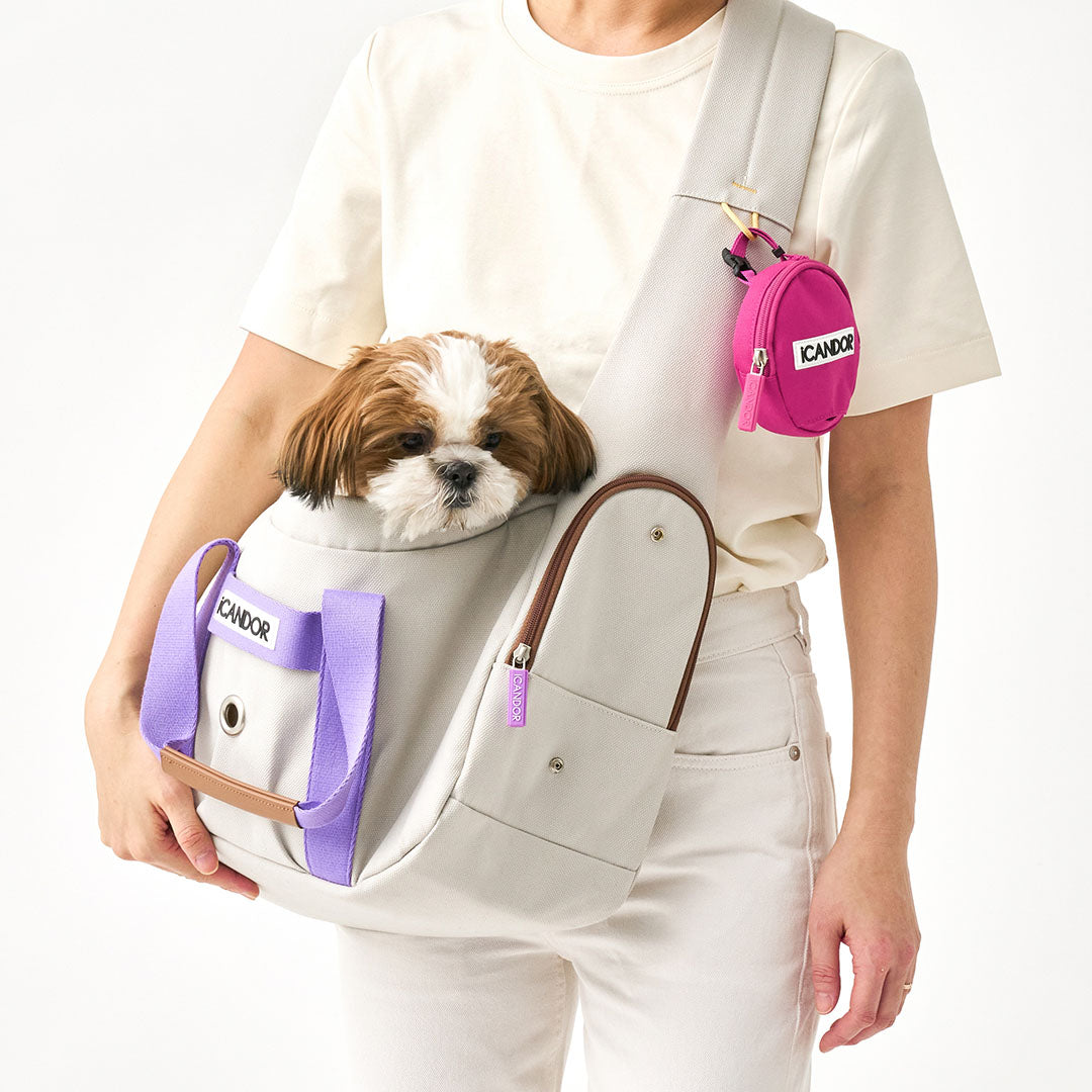 BAG – iCANDOR